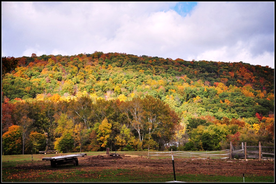 DSC_4611_1.jpg