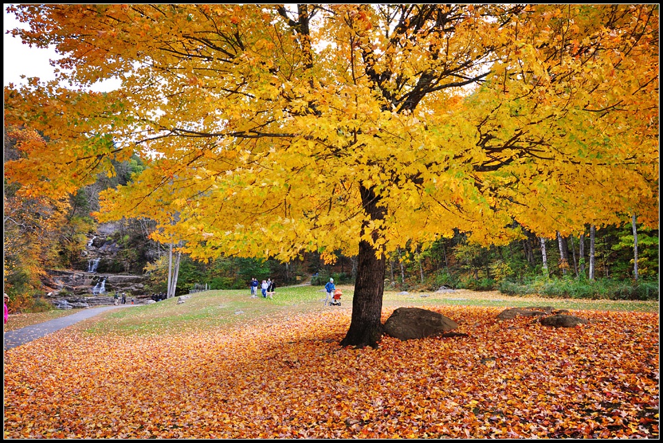 DSC_4652_1.jpg