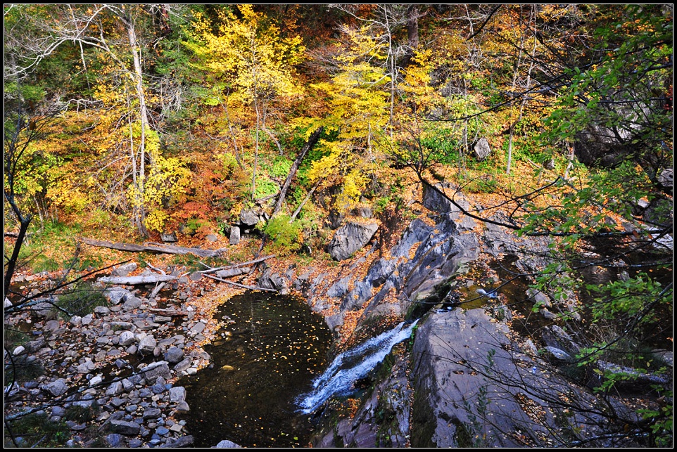 DSC_4677_1.jpg