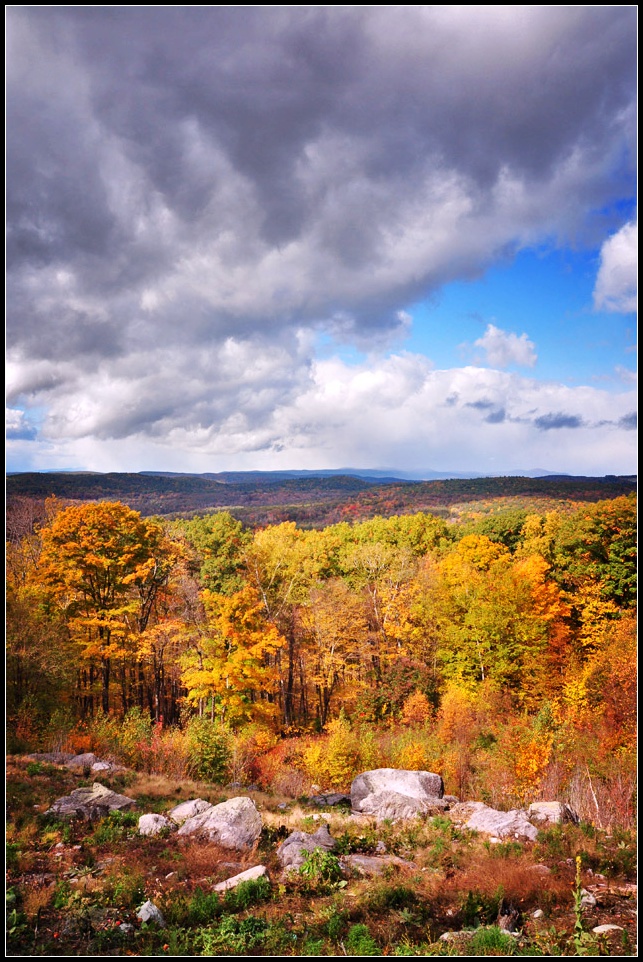 DSC_4892_1.jpg