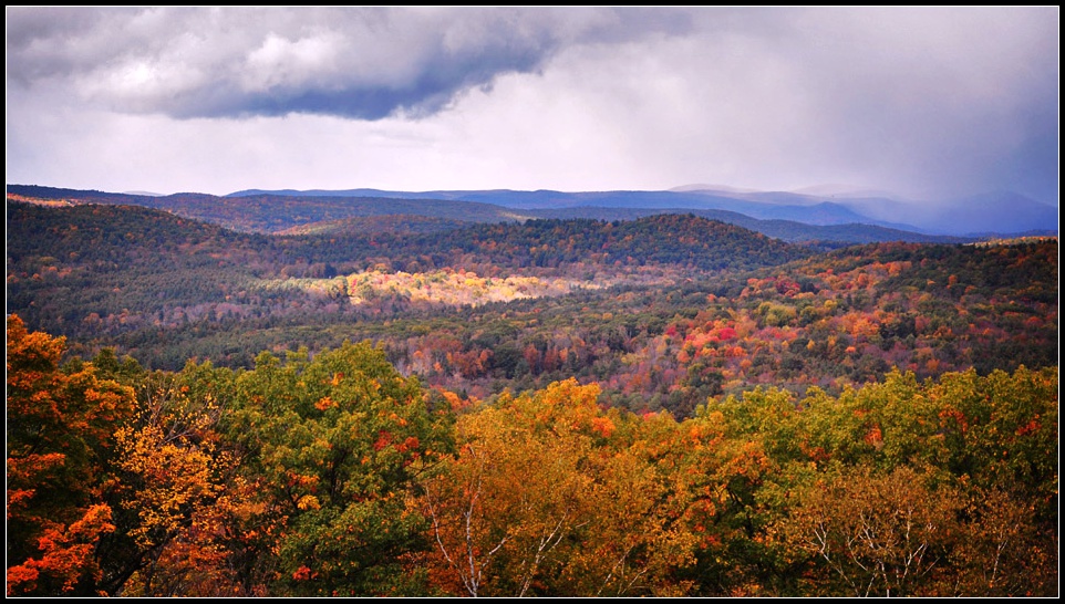 DSC_4908_1.jpg