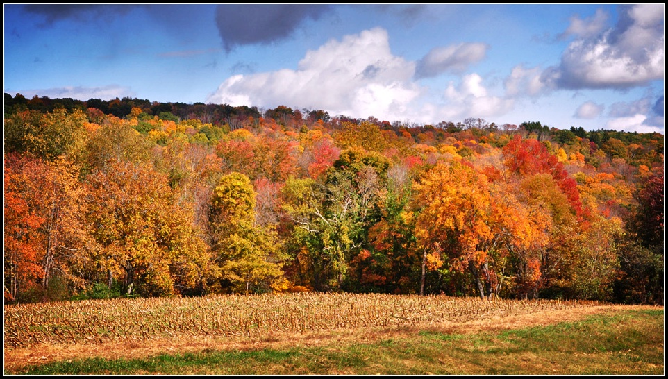 DSC_4966_1.jpg