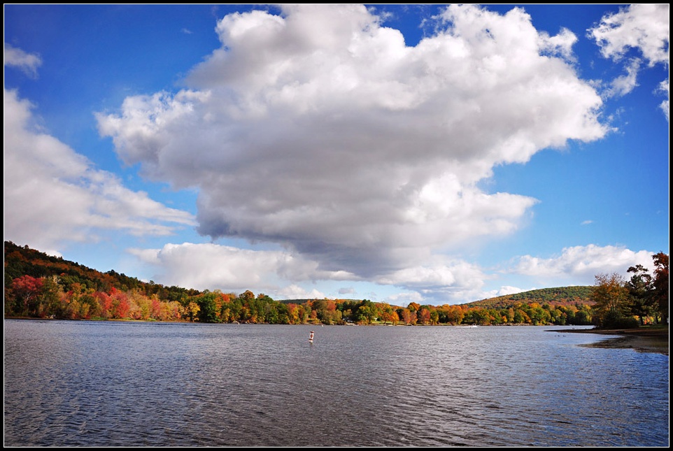 DSC_4992_1.jpg