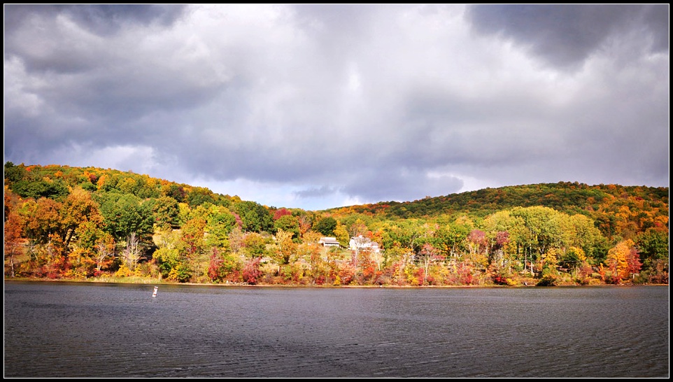 DSC_5000_1.jpg