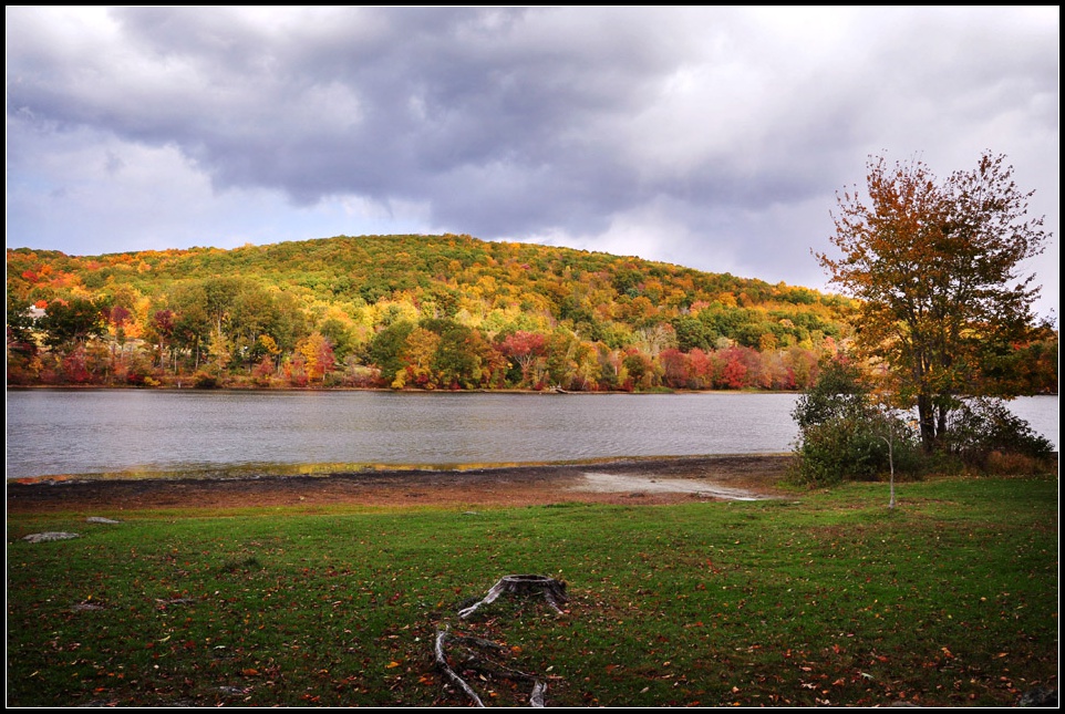 DSC_5014_1.jpg