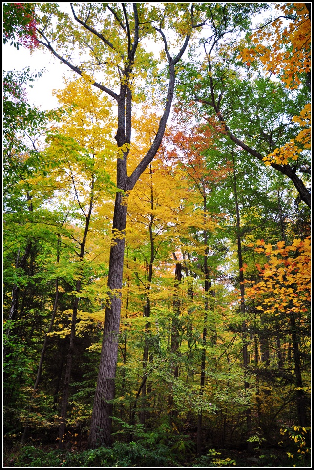 DSC_5200_1.jpg