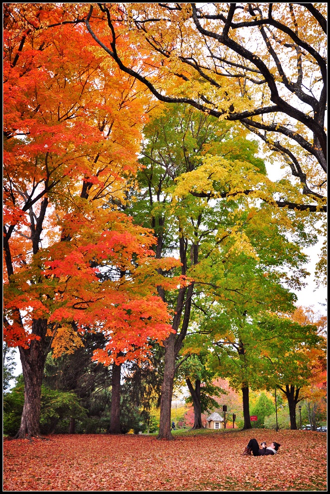 DSC_5291_1.jpg