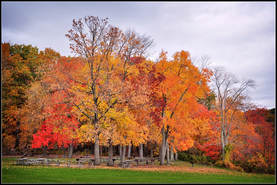 DSC_5357_1.jpg
