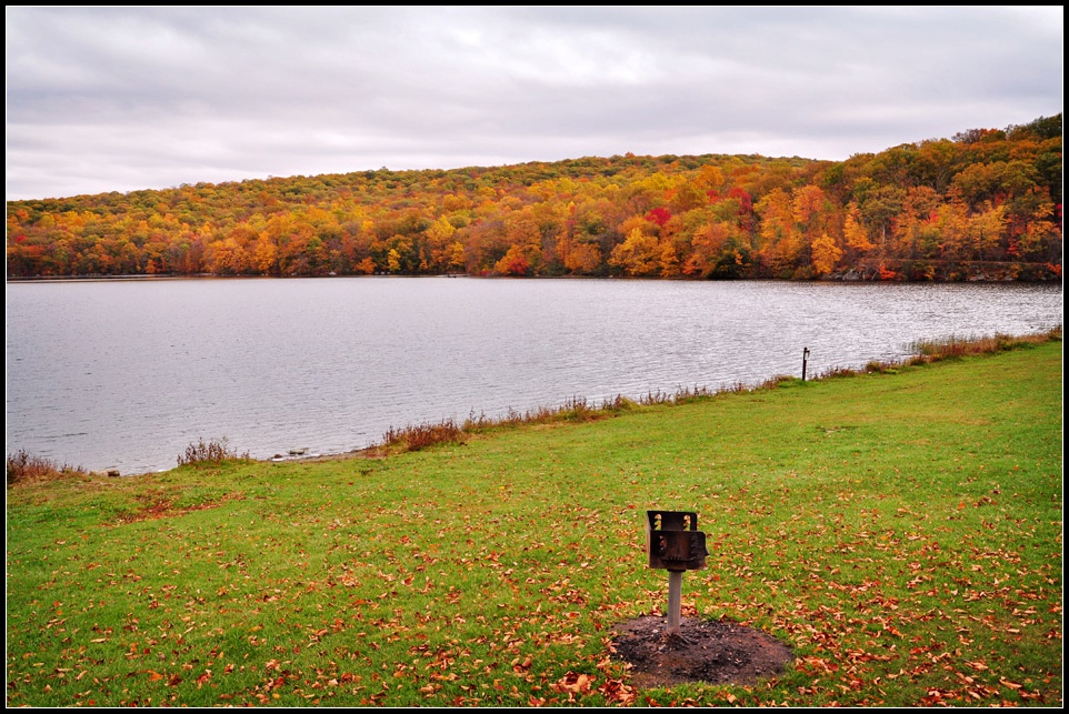 DSC_5363_1.jpg