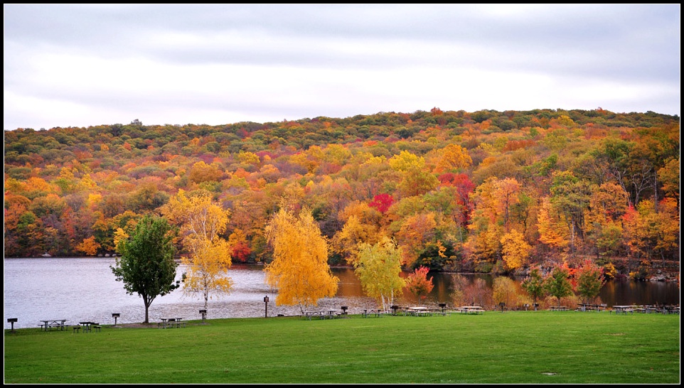 DSC_5423_1.jpg