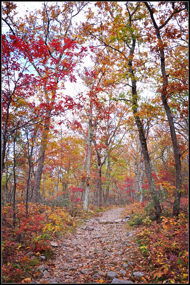 DSC_5864_1.jpg