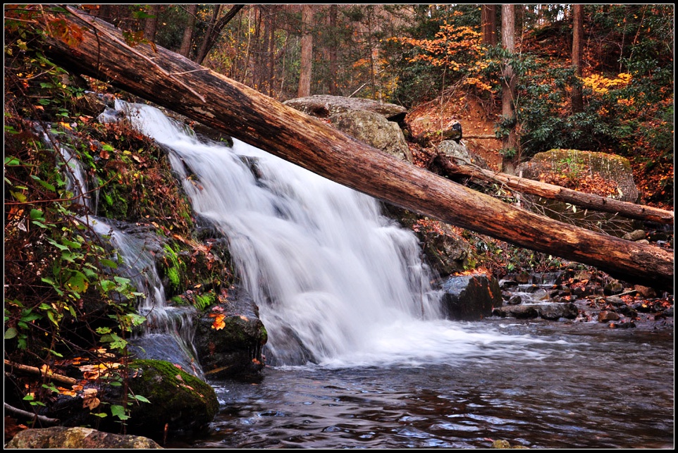 DSC_5926_1.jpg