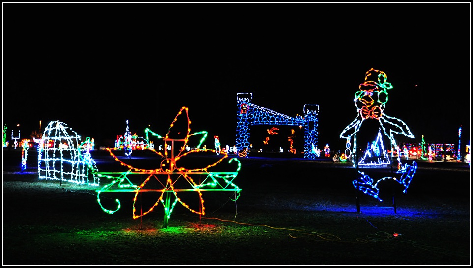 DSC_6985_1.jpg