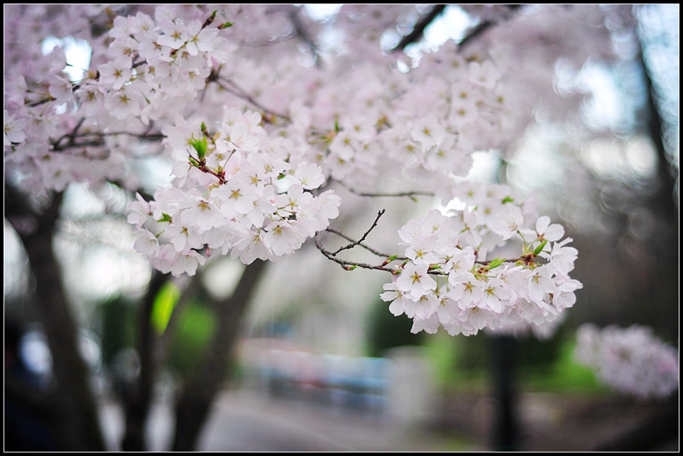 DSC_7374_1.jpg