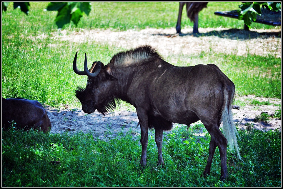 DSC_7654_1.jpg