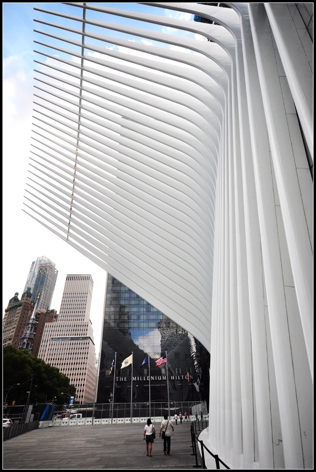 DSC_9007_1.jpg