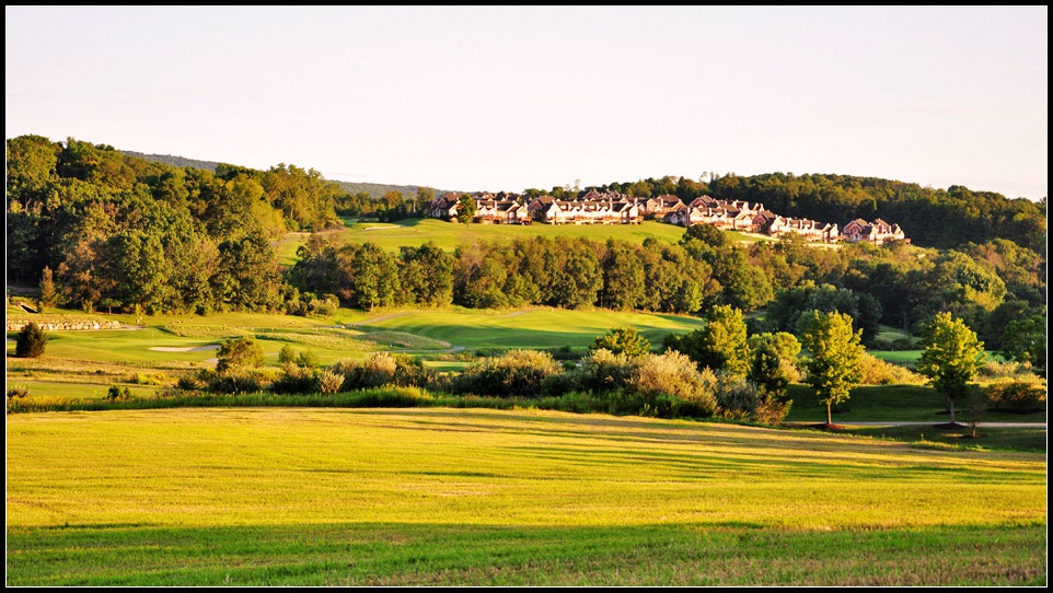 DSC_2009_1.jpg