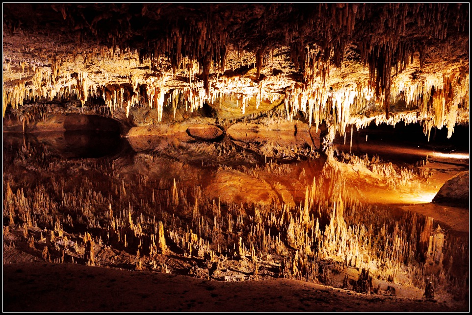 DSC_9261_1.jpg