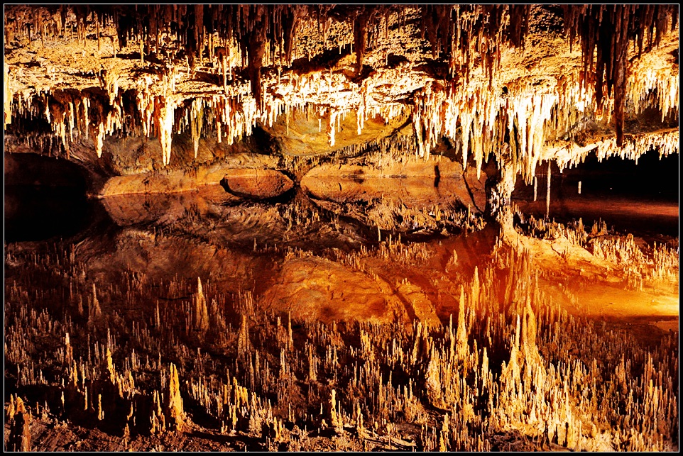 DSC_9262_1.jpg