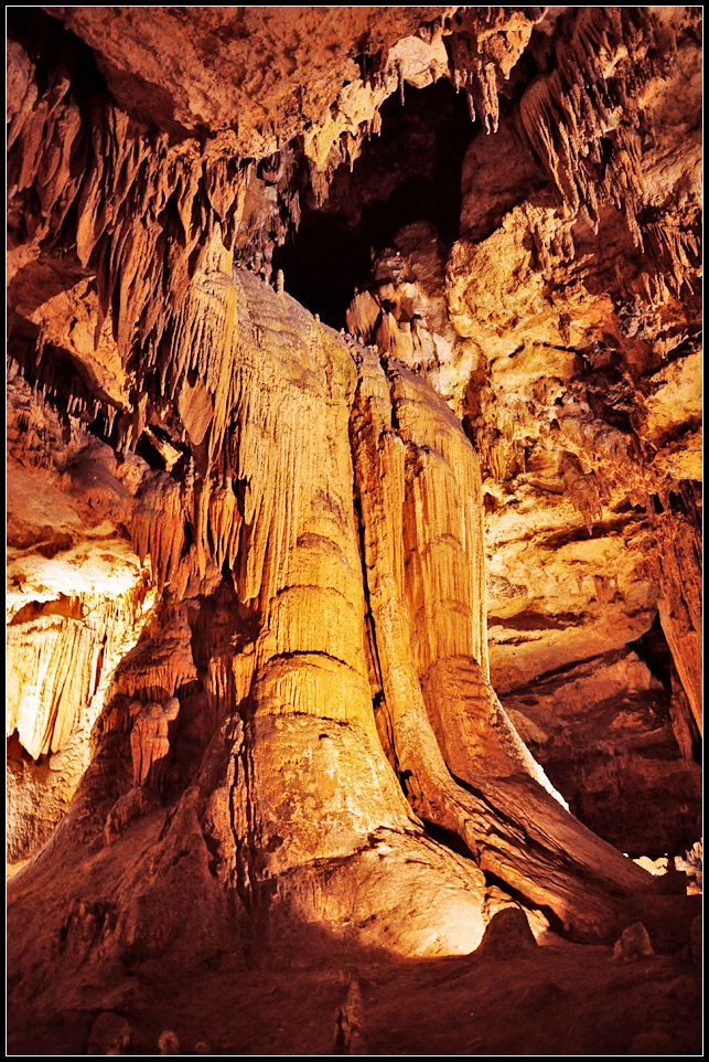 DSC_9365_1.jpg