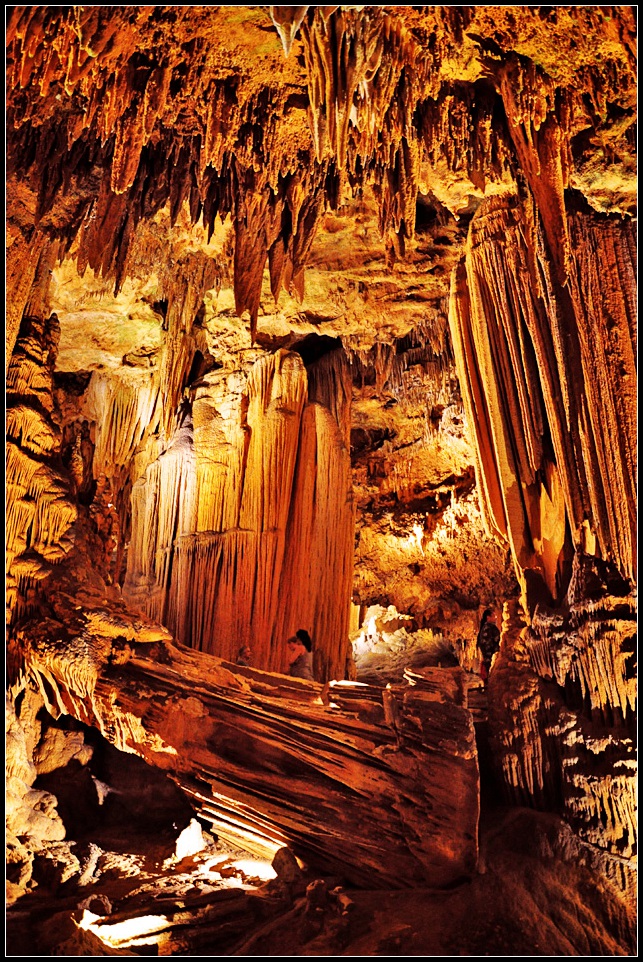 DSC_9457_1.jpg