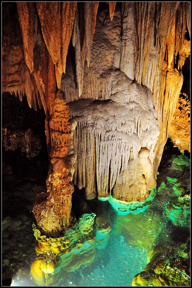 DSC_9572_1.jpg