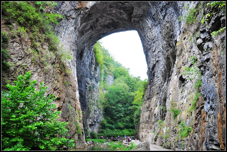 DSC_1392_1.jpg