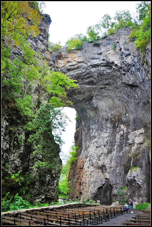 DSC_1420_1.jpg
