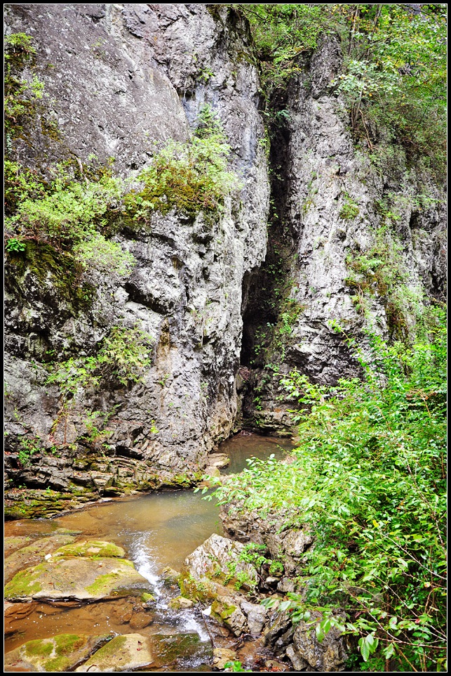 DSC_1422_1.jpg