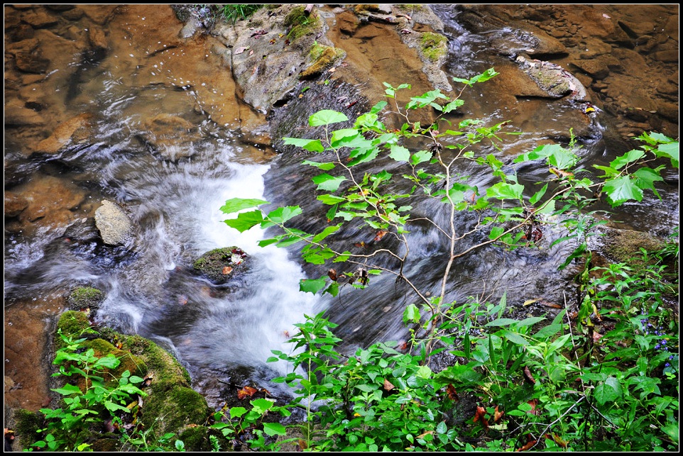 DSC_1527_1.jpg