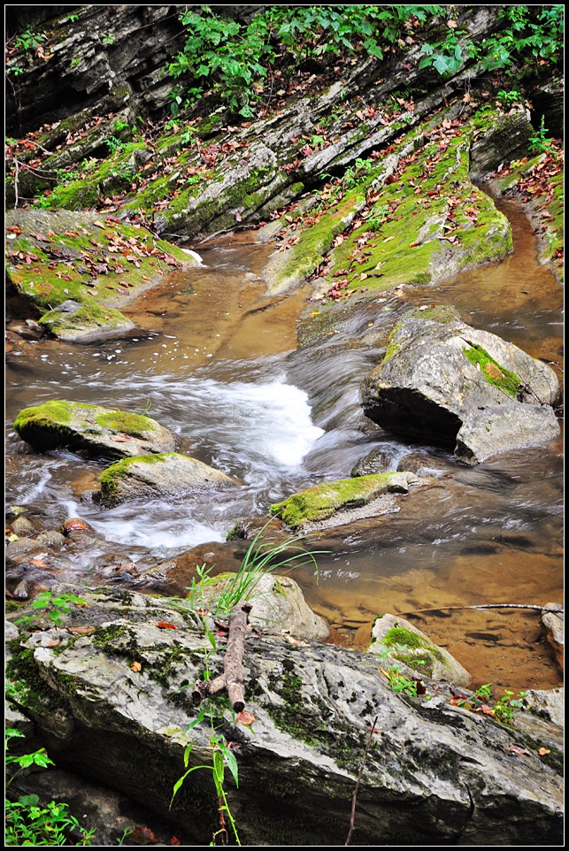 DSC_1531_1.jpg