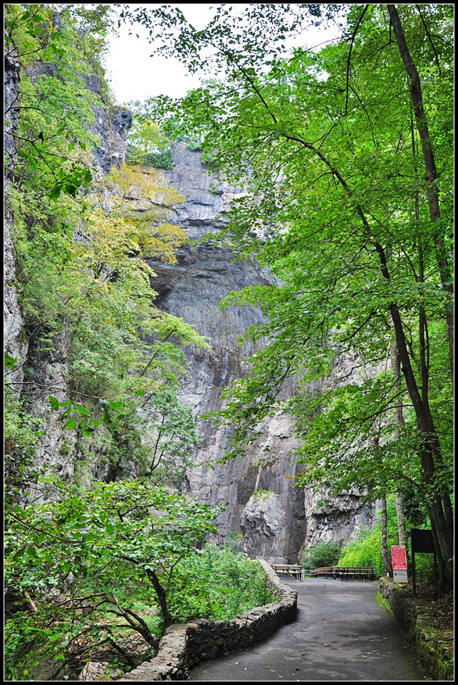DSC_1577_1.jpg