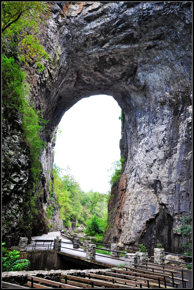 DSC_1582_1.jpg