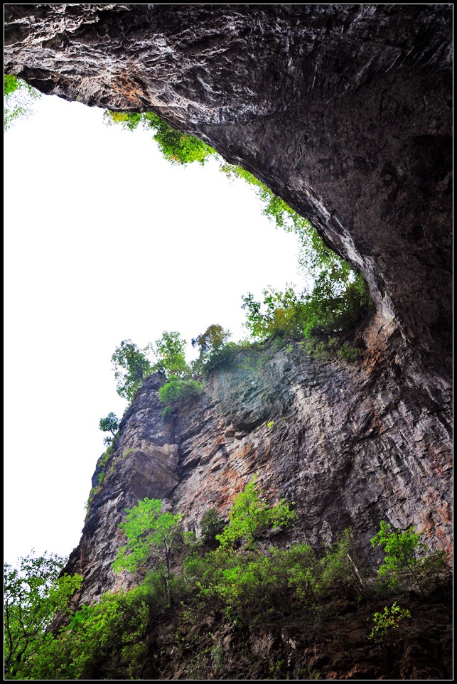 DSC_1587_1.jpg