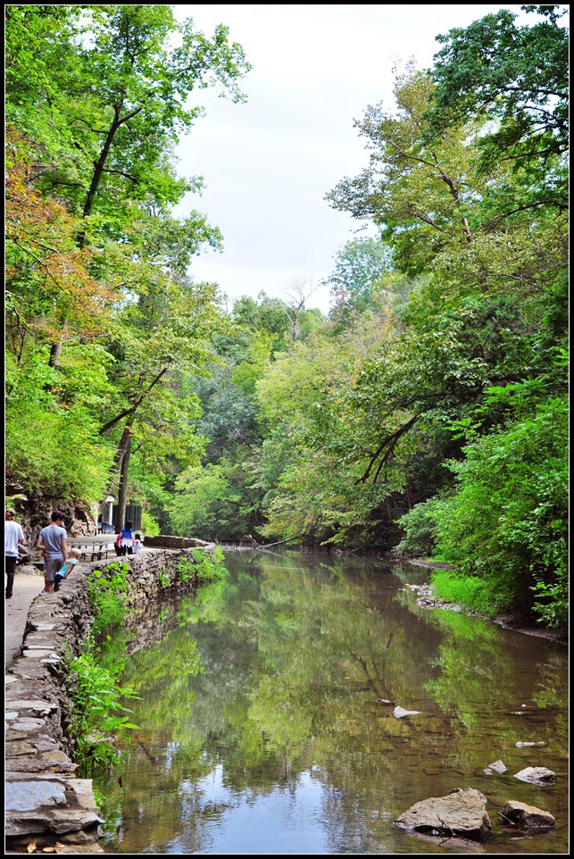 DSC_1590_1.jpg