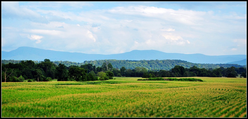 DSC_1607_1.jpg