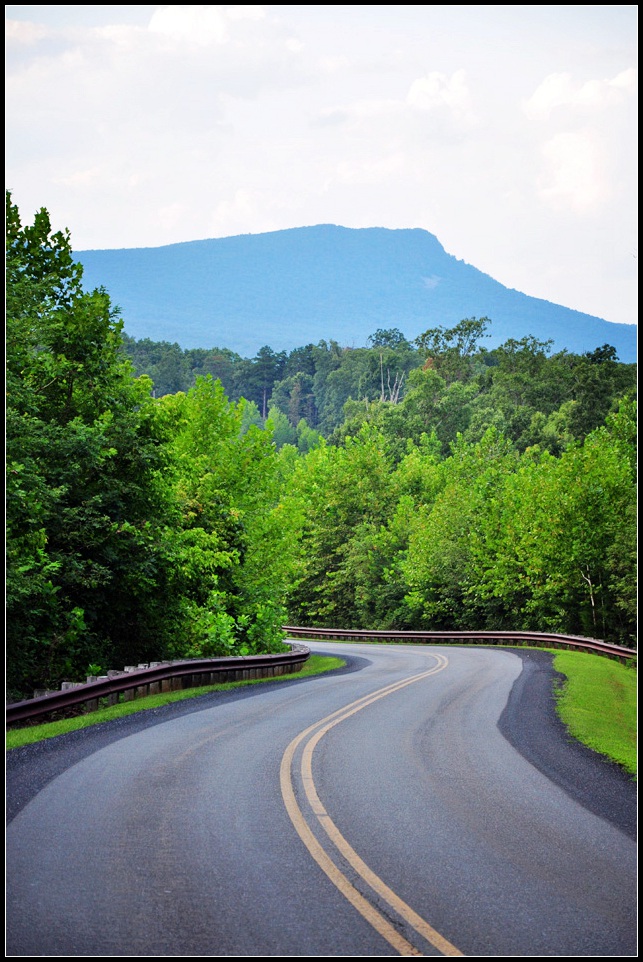 DSC_1662_1.jpg