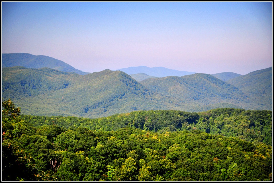 DSC_0142_1.jpg