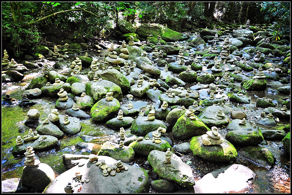 DSC_0200_1.jpg