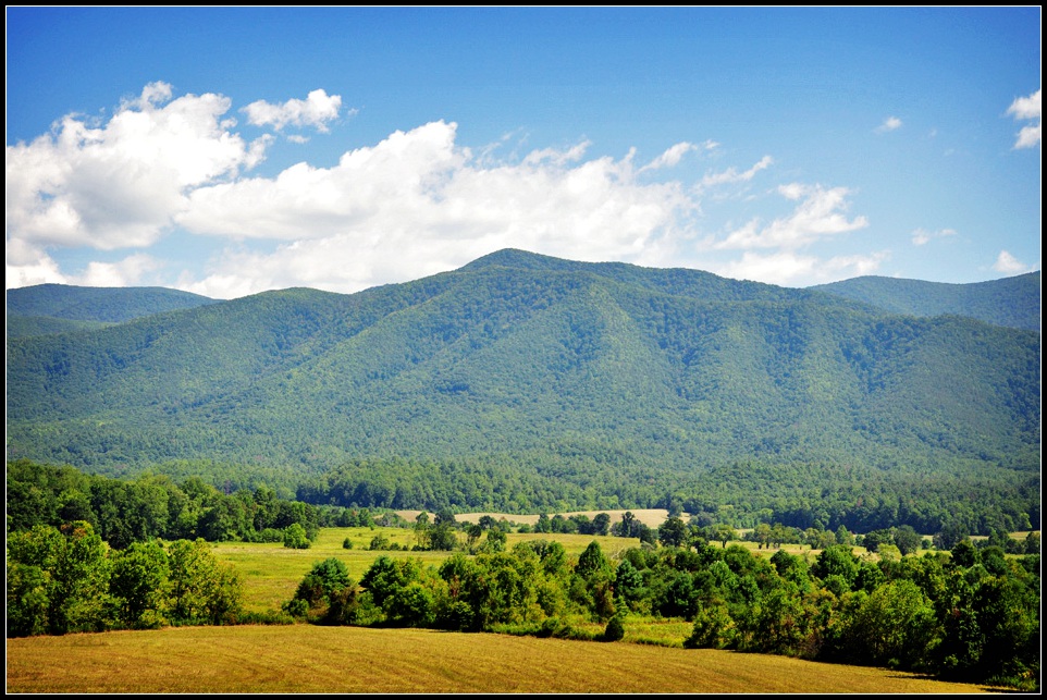 DSC_0322_1.jpg