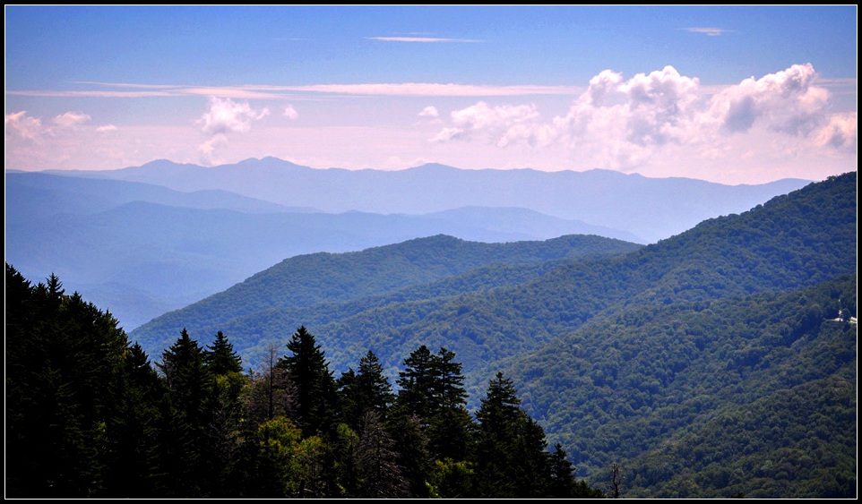 DSC_0512_1.jpg