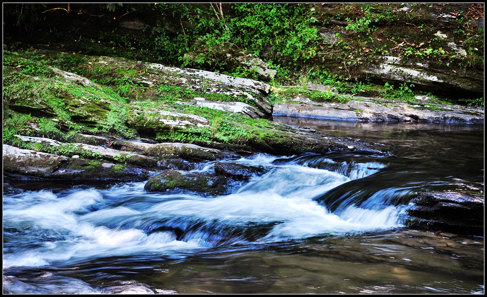 DSC_0587_1.jpg