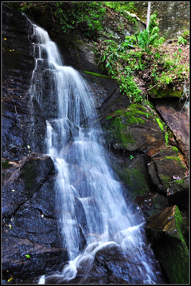DSC_0622_1.jpg