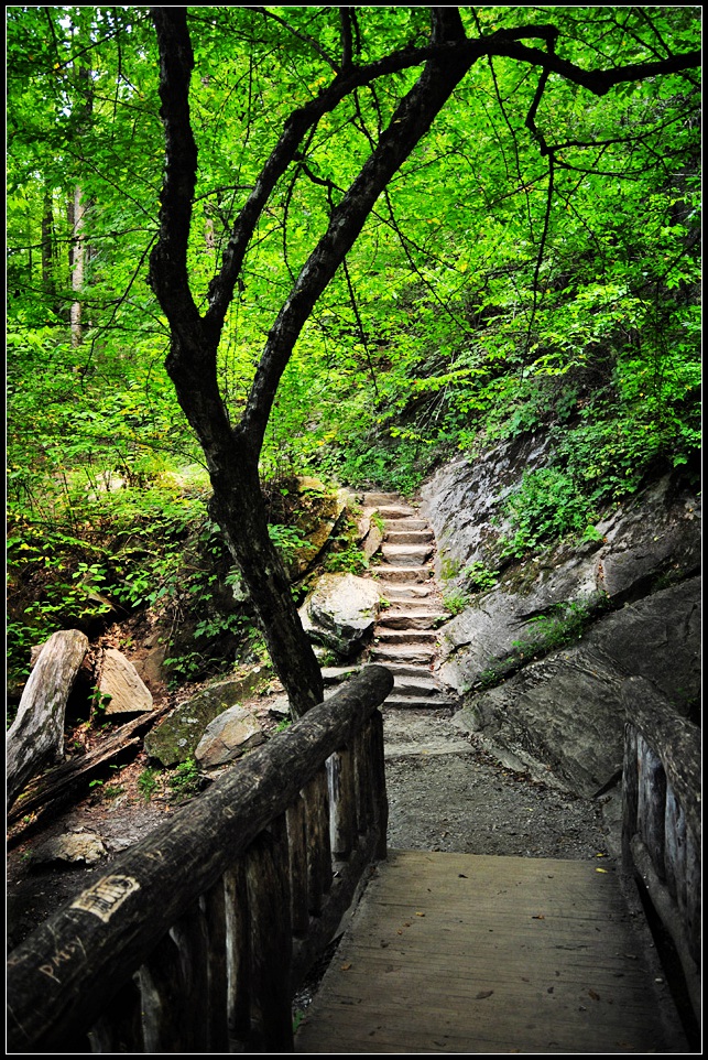 DSC_0626_1.jpg