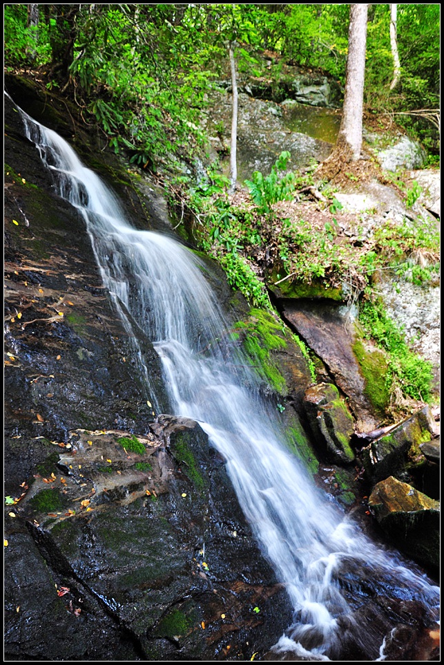 DSC_0629_1.jpg