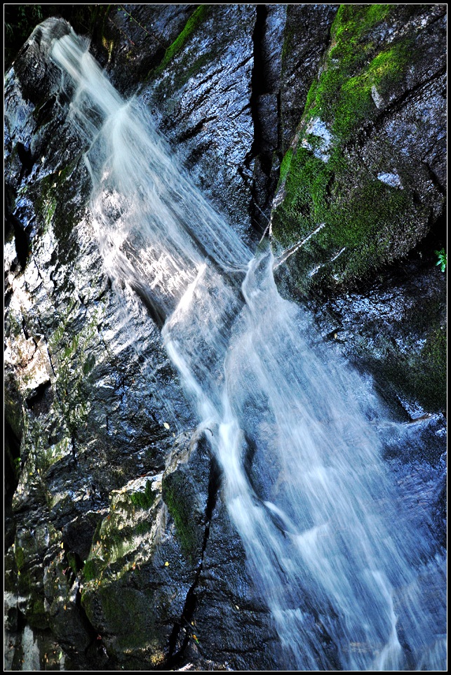 DSC_0639_1.jpg