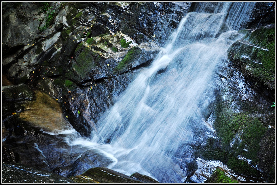 DSC_0640_1.jpg