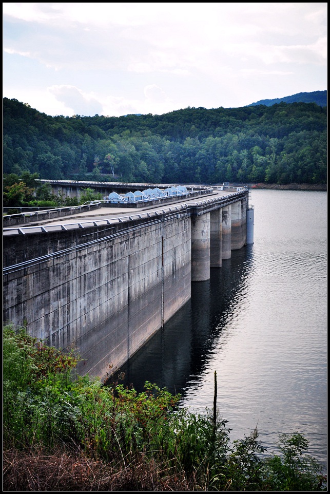 DSC_0739_1.jpg