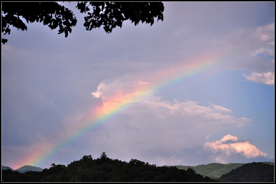DSC_0755_1.jpg