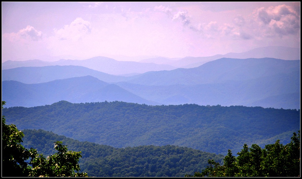 DSC_9754_1.jpg